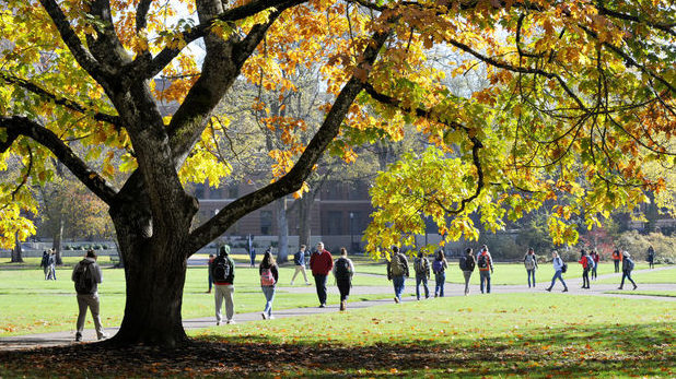 OSU enrollment up 2.4 percent