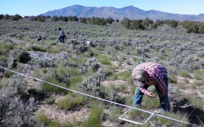 KTVZ: OSU-led study offers long-term look at methods to control wildfire in sagebrush steppe ecosystem￼