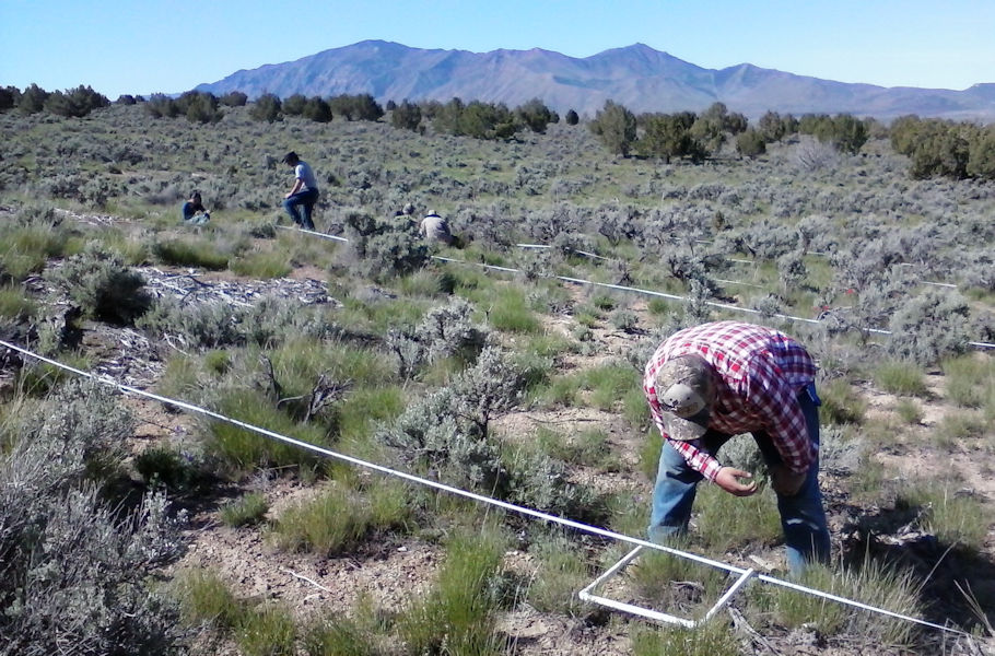 KTVZ: OSU-led study offers long-term look at methods to control wildfire in sagebrush steppe ecosystem￼